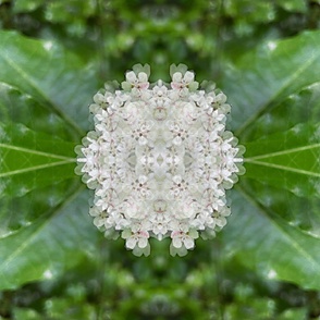 Milkweed Kaleidoscope Large