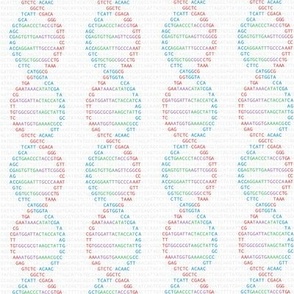 DNA double helix written with ACTG