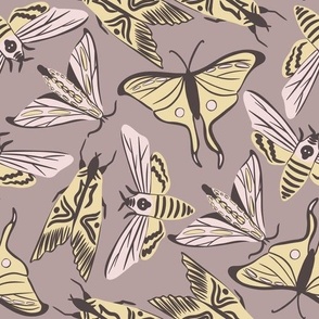Moths & Butterflies in Neutral Pink & Yellow