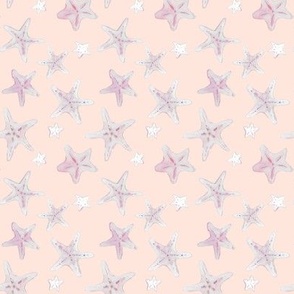starfish on pink sand