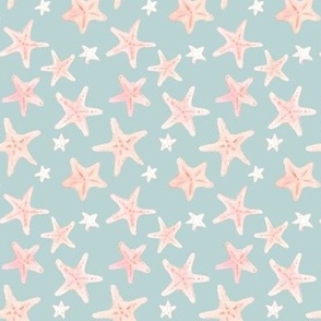 starfish on  pale deep sea