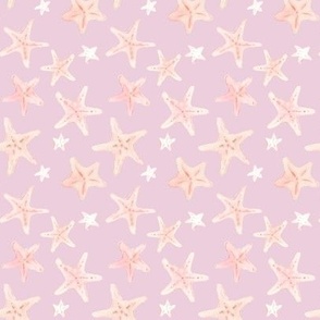 starfish on lavender