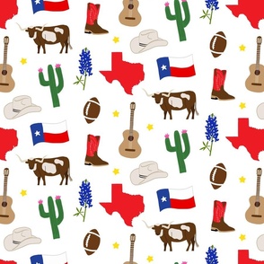Texas Icons MEDIUM