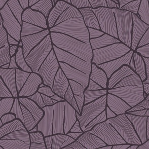 Allover layout of large Caladium leaves - dark, graphical and  linear - large scale .