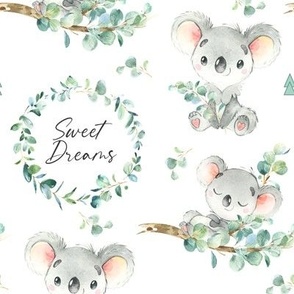Sweet Dreams Little Koala