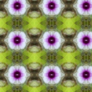 Sweet Potato Vine Kaleidoscope