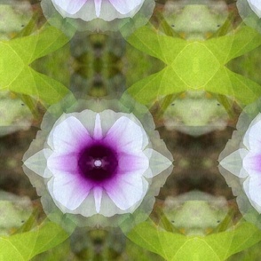 Sweet Potato Vine Kaleidoscope Large Scale