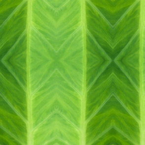 Botanical abstract stripe - Green Taro Leaf 