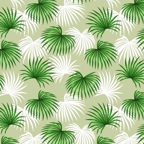 Green and White Palm Leaves on Light Green