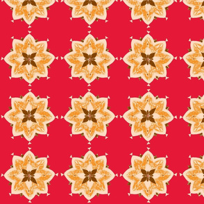 khaki pointy flower red
