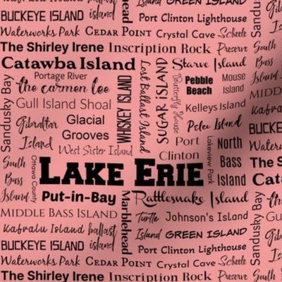 Lake Erie _ Ohio Islands pink