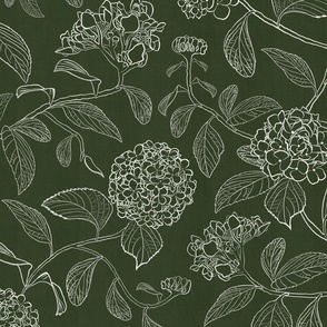 Large scale dark forest green and white trailing floral hydrangeafor wallpaper