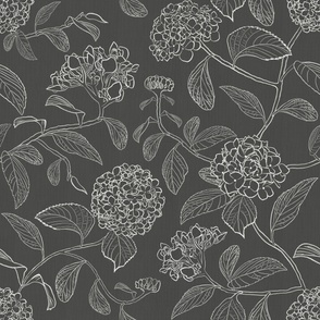 Large scale dark charcoal grey and white trailing floral hydrangea for wallpaper