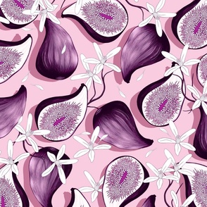 Flowers and fruits of figs, purple on pink background, the new version, large scale