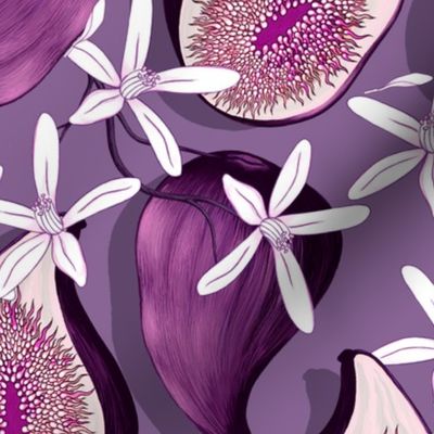 Flowers and fruits of figs, purple on a dark mauve background, the new version, large scale