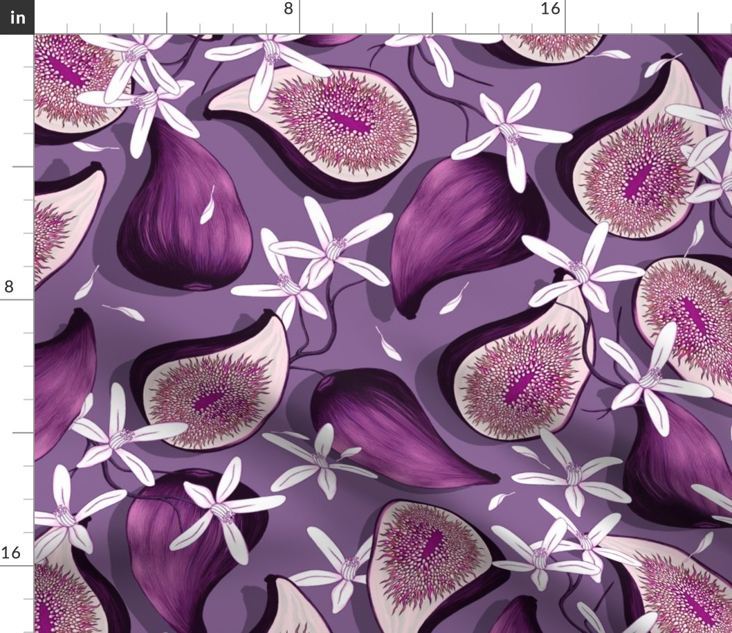 Flowers and fruits of figs, purple on a dark mauve background, the new version, large scale