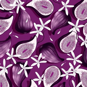 Flowers and fruits of figs, purple on a bright lilac background, the new version, large scale