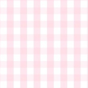 Baby Pink Gingham Plaid Small