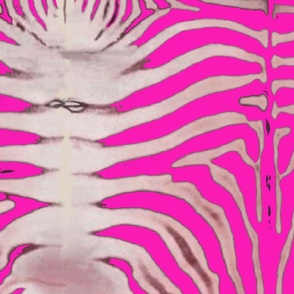 Cosmic Pink Zebra