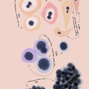 Cells from the human body prints are also available. 
Cytology,  pathology,  histology,  teaching and learning guide.  Use it on any science project.  
Other cell types are in the shop and in our site CytoNerd.com 