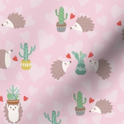 hedgehog and cactus on pink background