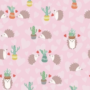 hedgehog and cactus on pink background