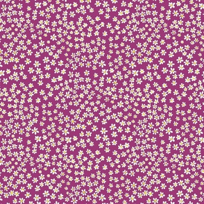 (S) Tiny quilting floral - small white flowers on Berry purple - Petal Signature Cotton Solids coordinate