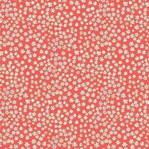 (S) Tiny quilting floral - small white flowers on Coral red - Petal Signature Cotton Solids coordinate