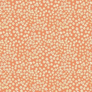 (S) Tiny quilting floral - small white flowers on Peach - Petal Signature Cotton Solids coordinate
