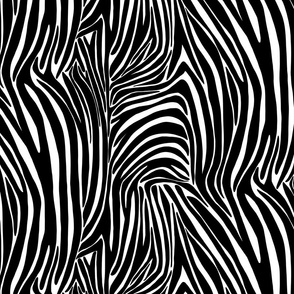 Zebra stripes