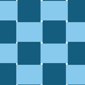 Check Basket Weave  - Light Blue & Dark Blue  - Large Checkerboard 