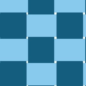 Check  Basket Weave - Light Blue & Dark Blue  - medium Checkerboard