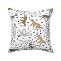 Trotting feathered Saluki and paw prints - white