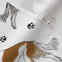 Trotting feathered Saluki and paw prints - white