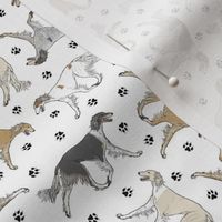 Tiny Trotting feathered Saluki and paw prints - white