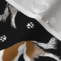 Trotting feathered Saluki and paw prints - black