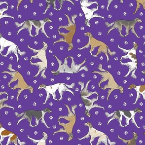 Trotting feathered Saluki and paw prints - purple