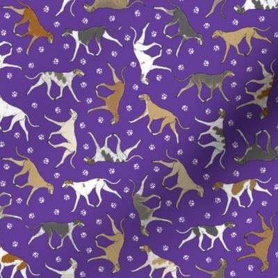 Tiny Trotting smooth Saluki and paw prints - purple