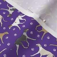 Tiny Trotting smooth Saluki and paw prints - purple