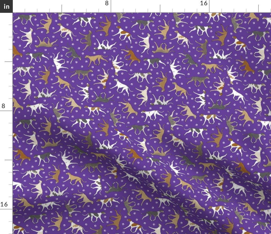 Tiny Trotting smooth Saluki and paw prints - purple