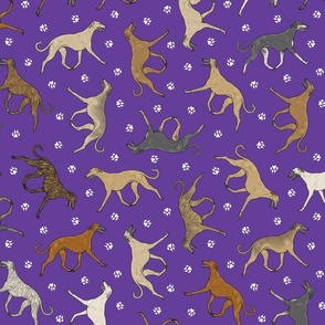Trotting Sloughi and paw prints - purple