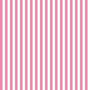 Simple Ethnic Damask Pink and White Narrow petite Stripe
