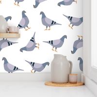 pigeon pattern MEDIUM