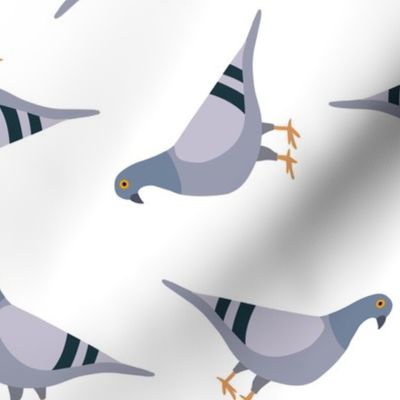 pigeon pattern MEDIUM