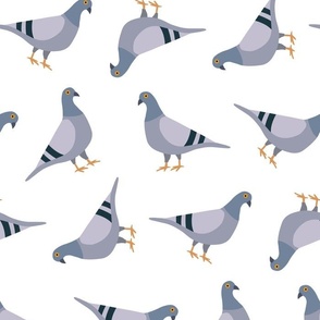 pigeon pattern MEDIUM