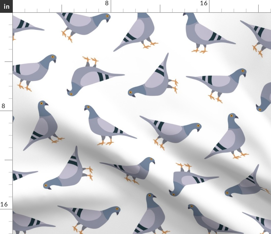 pigeon pattern MEDIUM