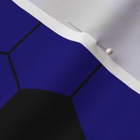 Soccer Ball (Black and Blue)
