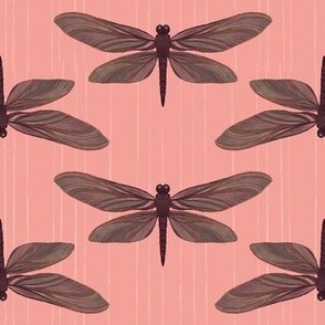 Dreamy Dragonflies