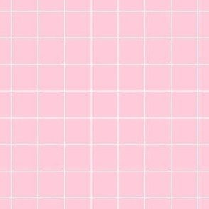 Baby Pink Grid Windowpane Pattern