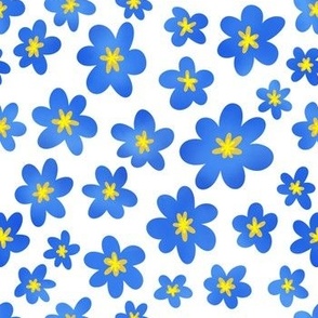 Blue Forget Me Nots